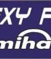 Flexy Fitness by Miha Bodytec