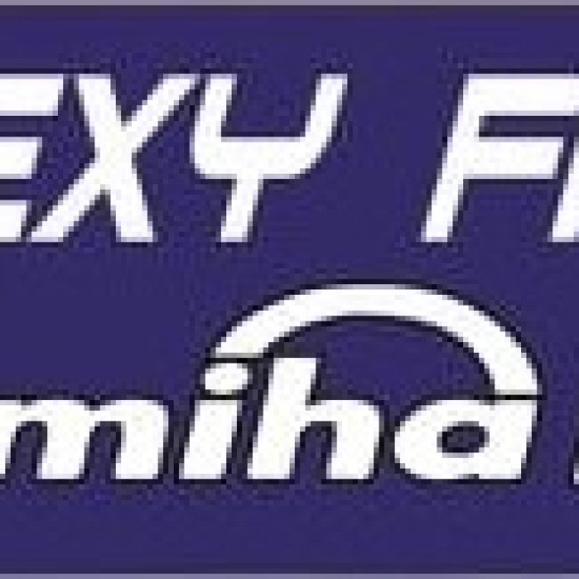 Flexy Fitness by Miha Bodytec